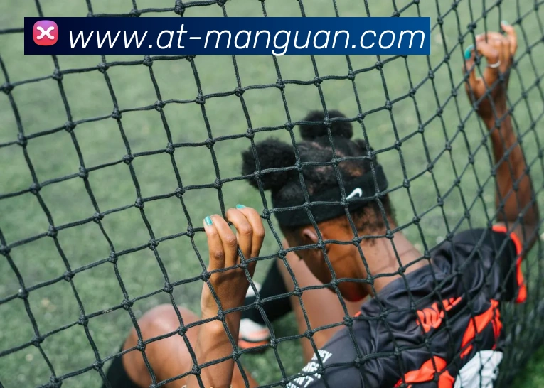 满冠体育APP 封面图